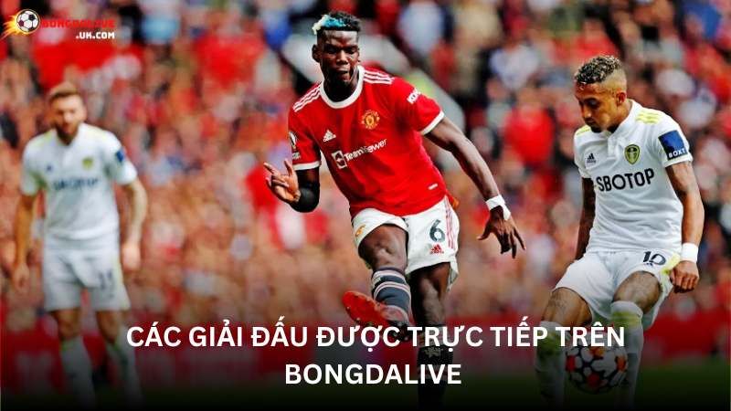 Các giải đấu được phát trên trực tiếp Bongdalive