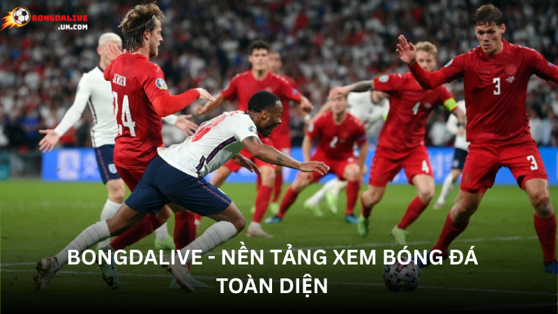 Giới thiệu Bongdalive - Nền tảng xem bóng đá trực tiếp toàn diện