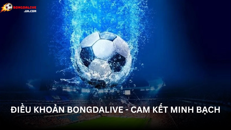 Điều khoản sử dụng Bongdalive - Cam kết an toàn và minh bạch cho người dùng