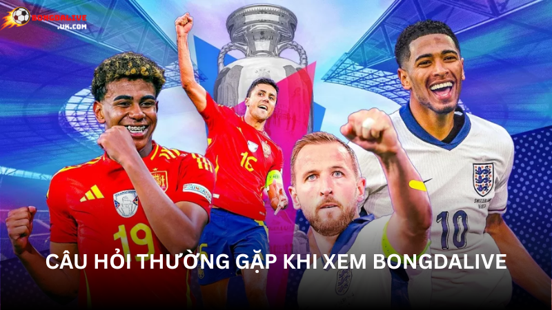 Câu hỏi thường gặp Bongdalive - Giải đáp toàn diện