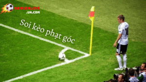 Kèo góc Bongdalive: Chiến lược cá cược hiệu quả